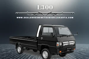 L300